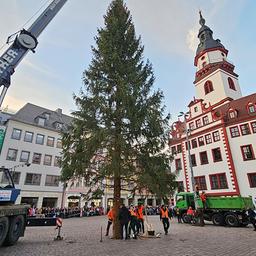 Ein Weihnachtsbaum wird auf dem Markt in Chemnitz mit einem Kran aufgestellt. 