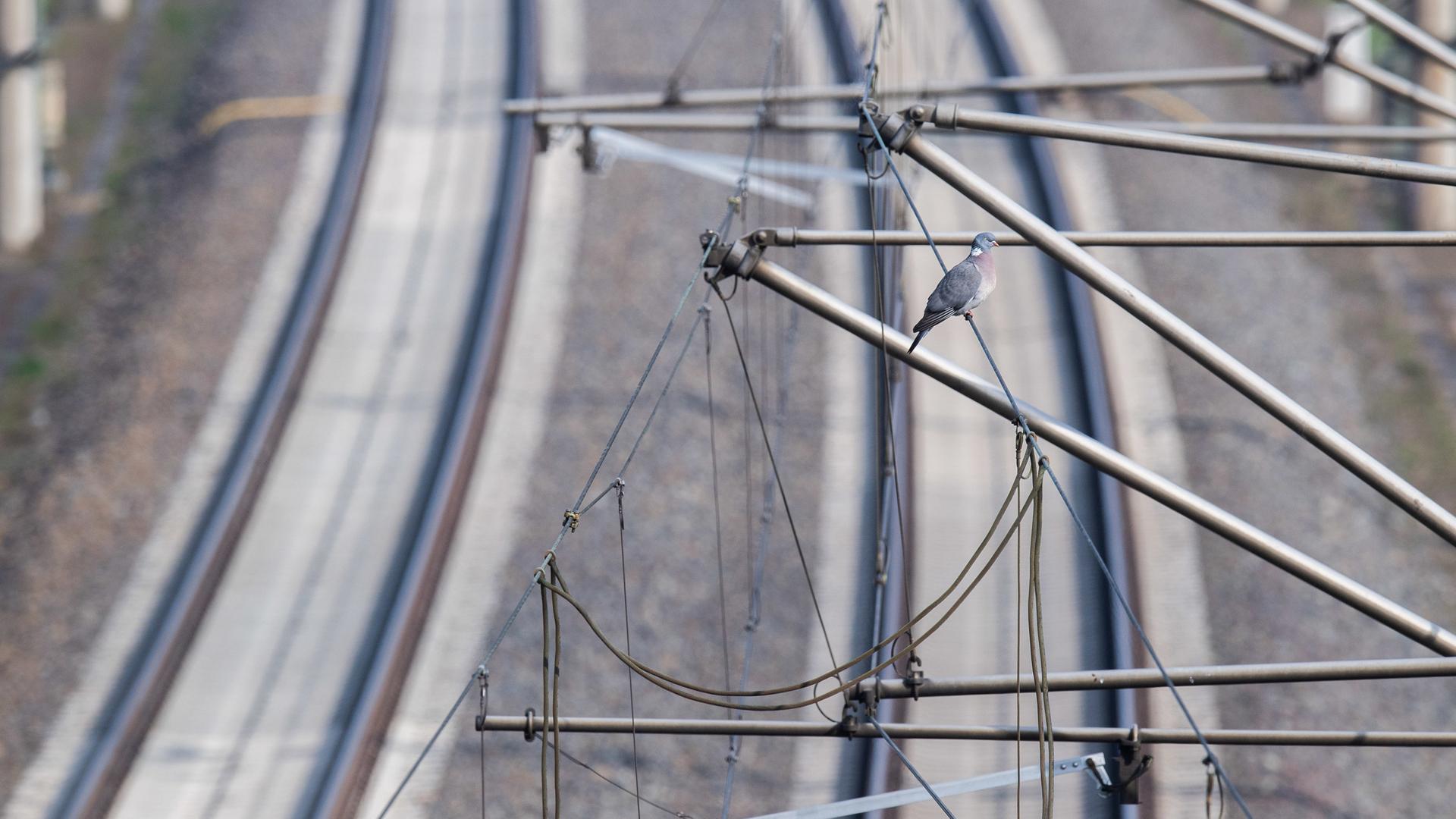 NRW baut Elektrifizierung des Bahnverkehrs aus