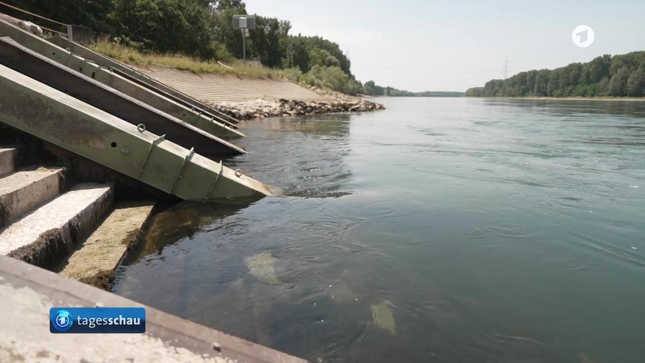 Extreme Hitze in Deutschland führt zu Problemen bei der Infrastruktur