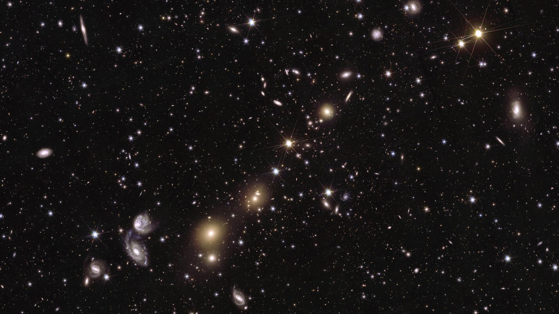 Viele verschiedene Galaxien unterschiedlicher Form und GrÃ¶Ãe. | picture alliance/dpa/Esa/Euclid Consortium
