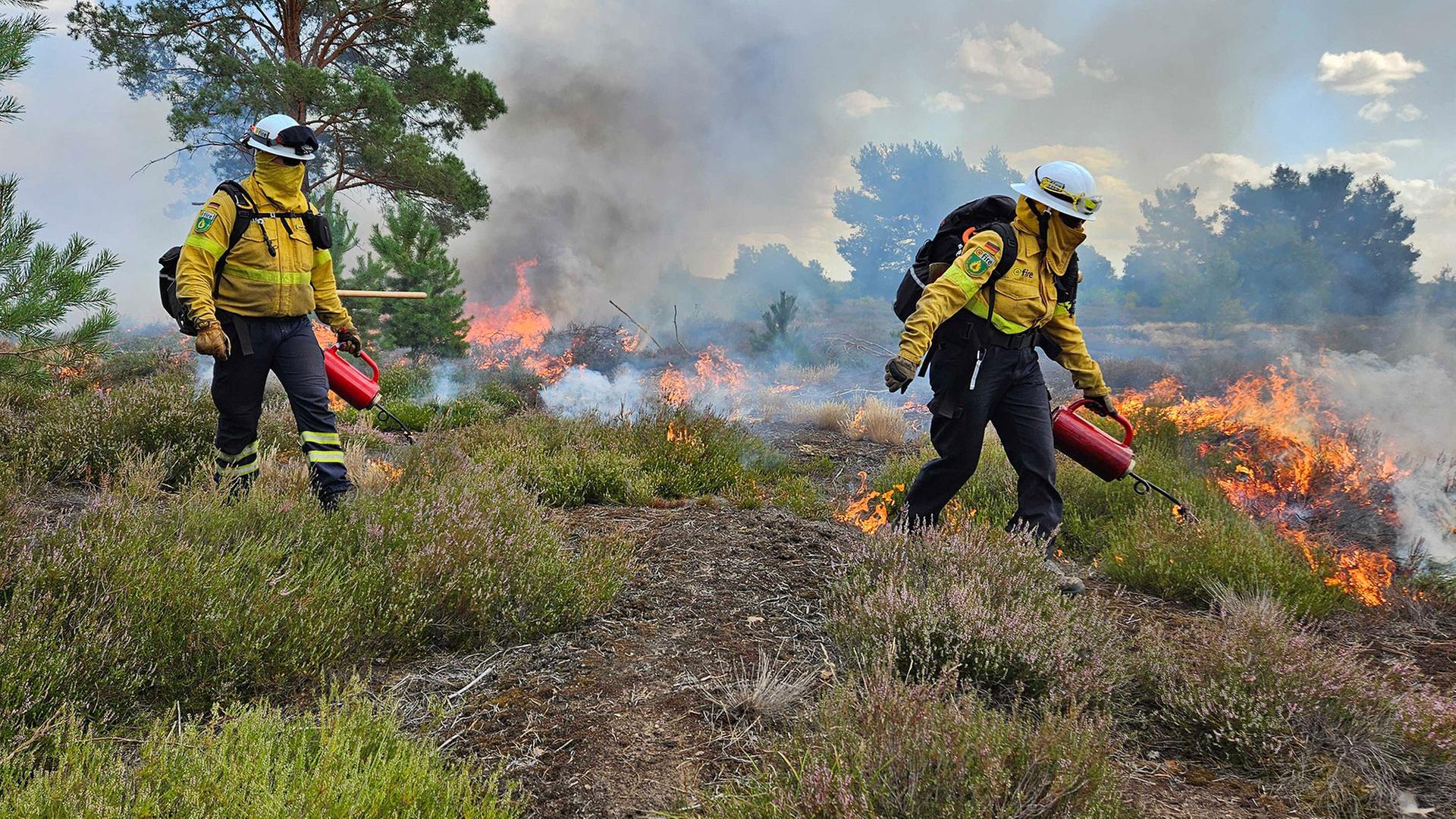 Übung in Lehnin: Wie Waldbrände mit Feuer bekämpft werden