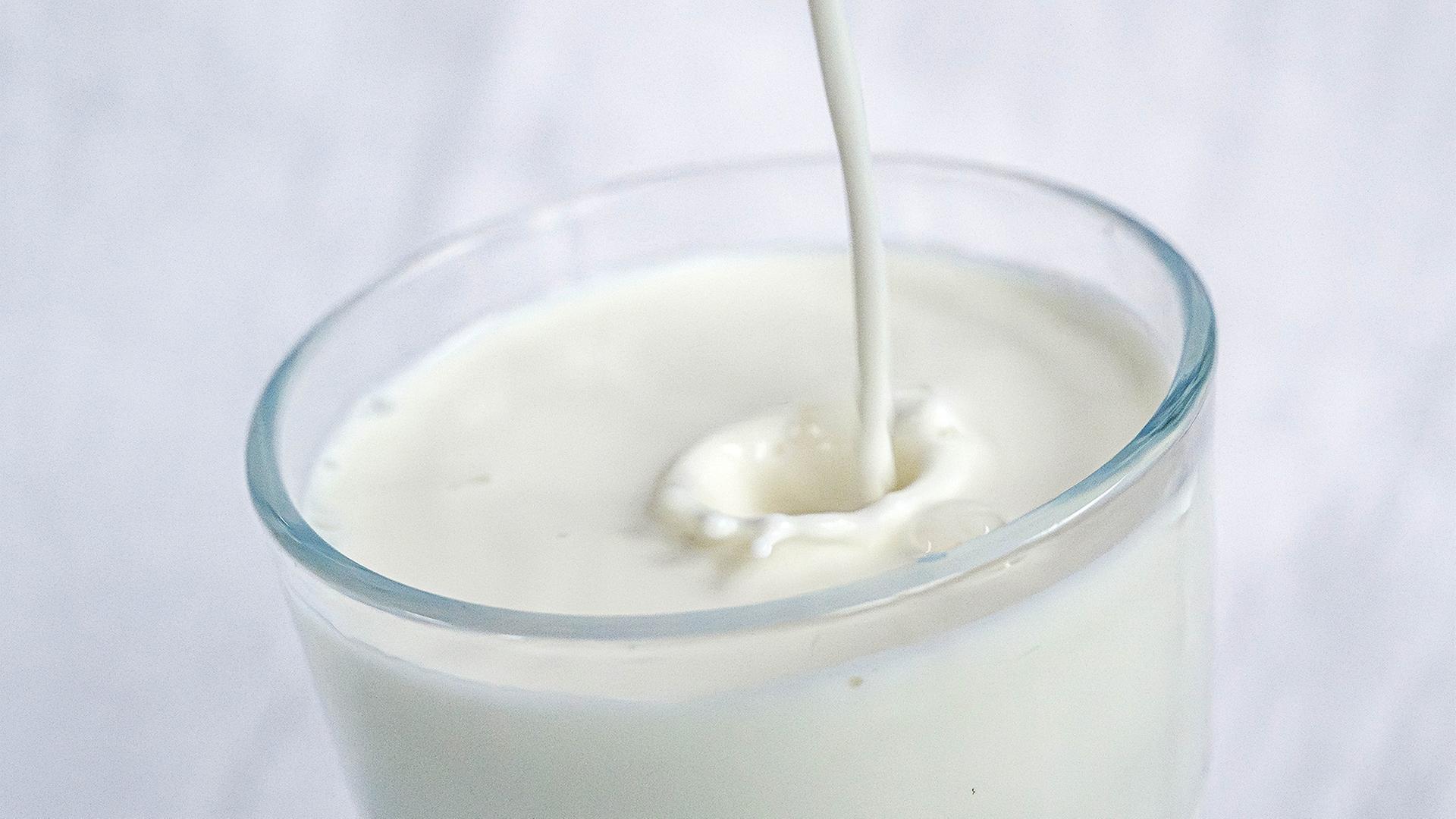 Was ist dran an Milch-Mythen?