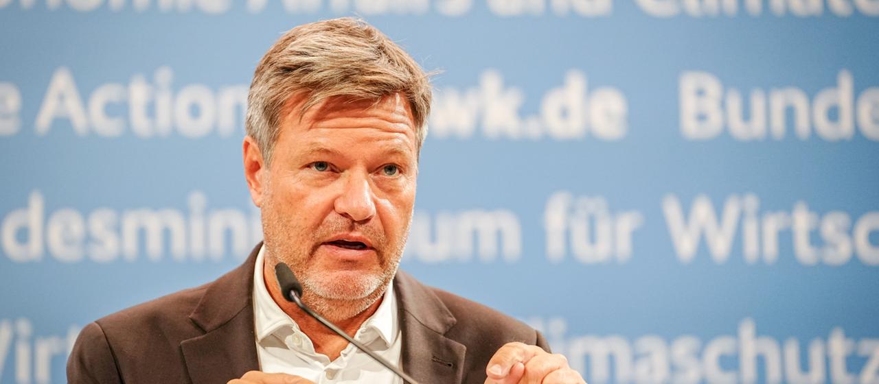 olivenbaum verkaufen Olivenbaum auf Stamm - Olea europaea