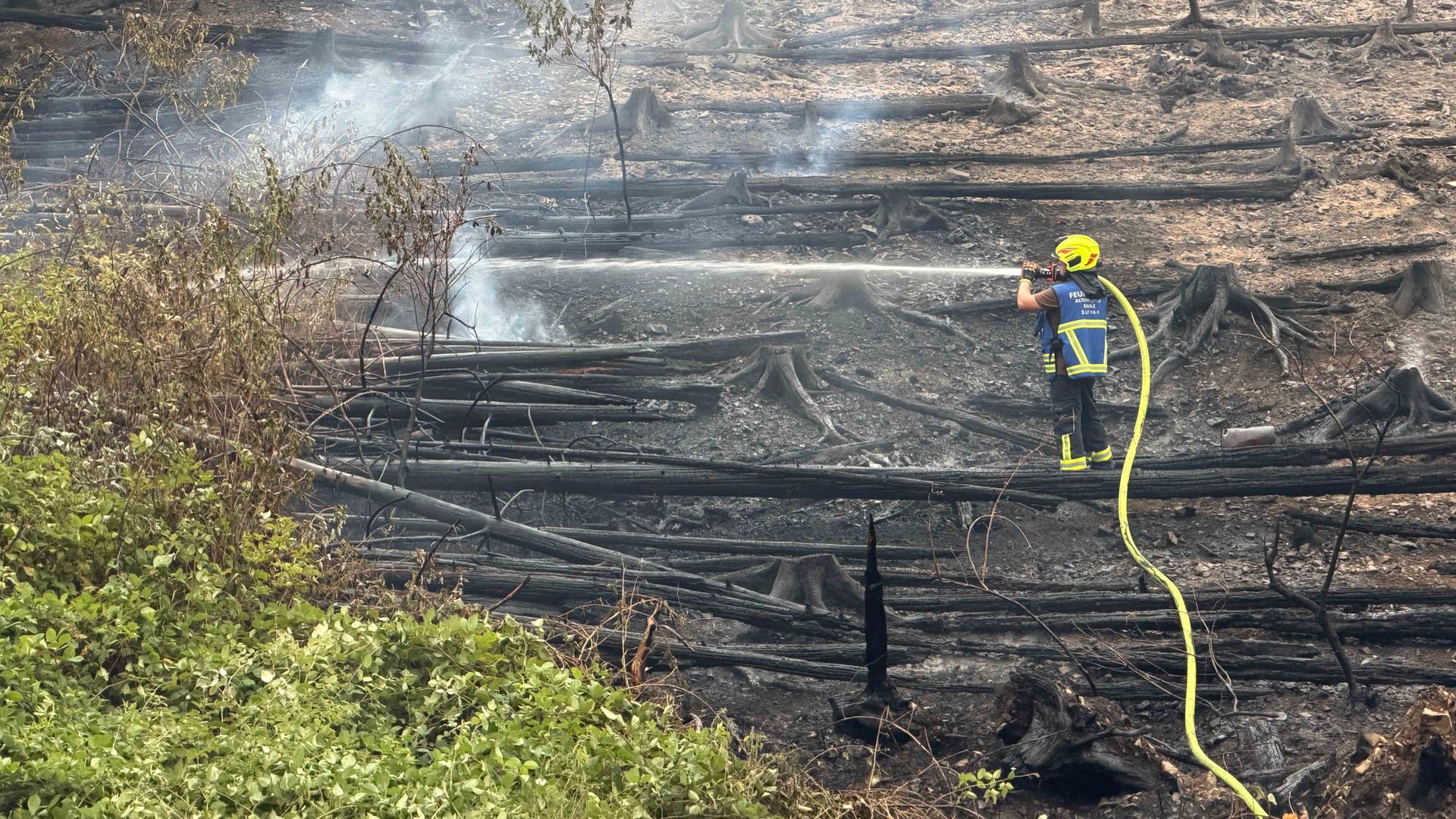 Löste eine Zigarette den Waldbrand in Altena aus?