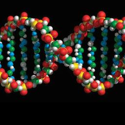 KI AlphaGenome verbessert unser Verstndnis der Gene | tagesschau.de