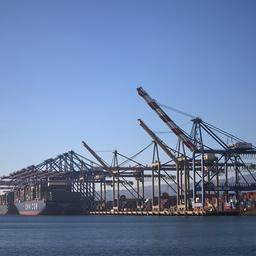Kräne stehen neben einem Containerschiff im Hafen von Los Angeles.