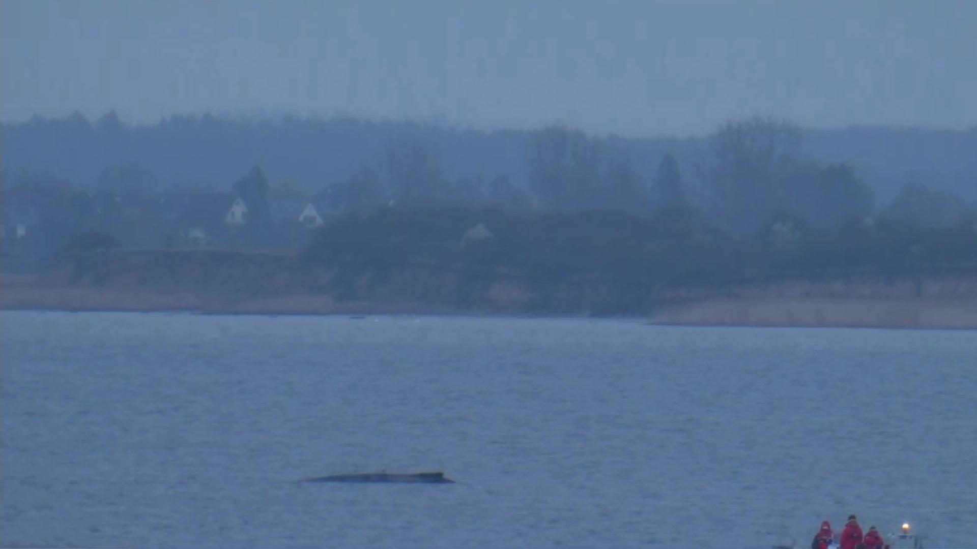 Sendungsbild | ARD-aktuell