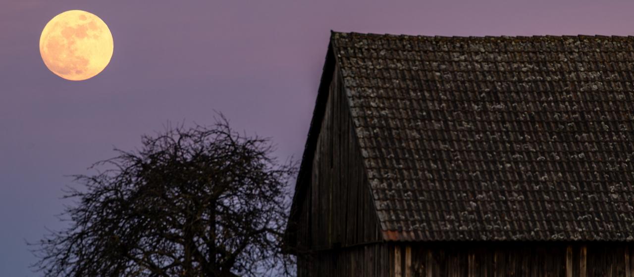 Vollmond Mai 2026 Sternzeichen: was Sie wissen müssen — image 4