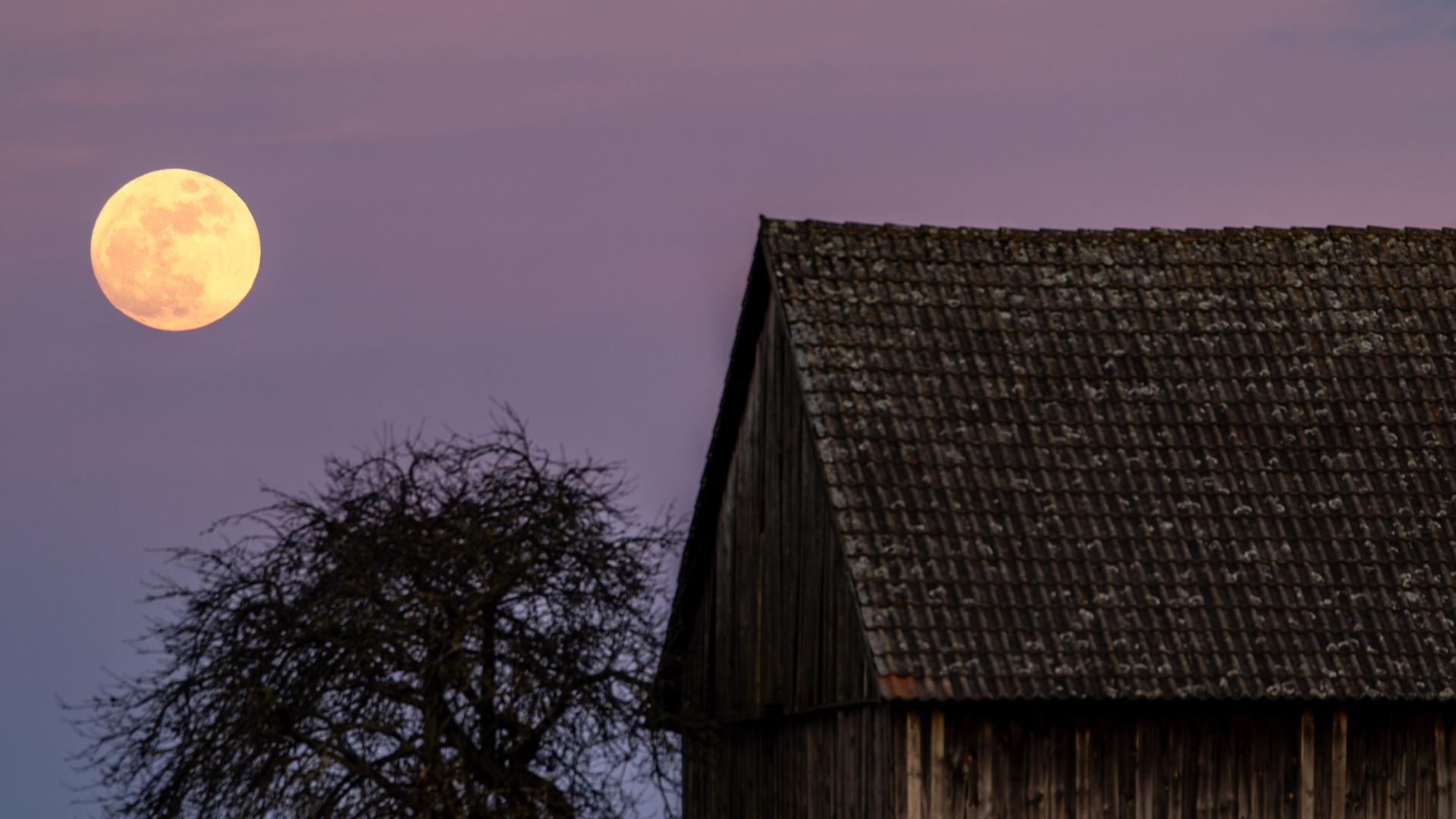 Gelb leuchtet der aufgehende Vollmond neben einer Scheune auf einem Feld. | Frank Hammerschmidt/dpa