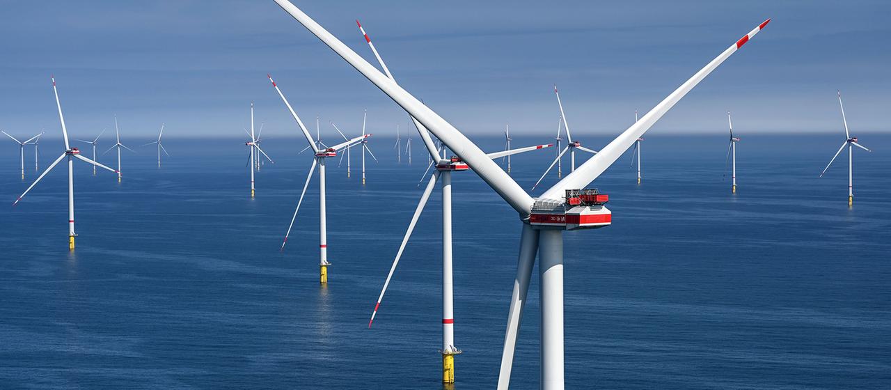 Zahlreiche Windräder stehen im Meer.