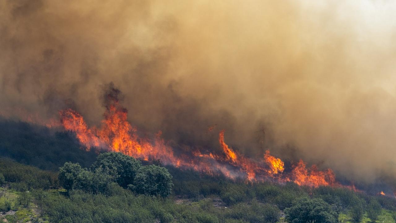 Warum Landflucht die Waldbrandgefahr erhöhen kann