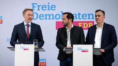 Christian Lindner, Martin Hagen und Stefan Naas