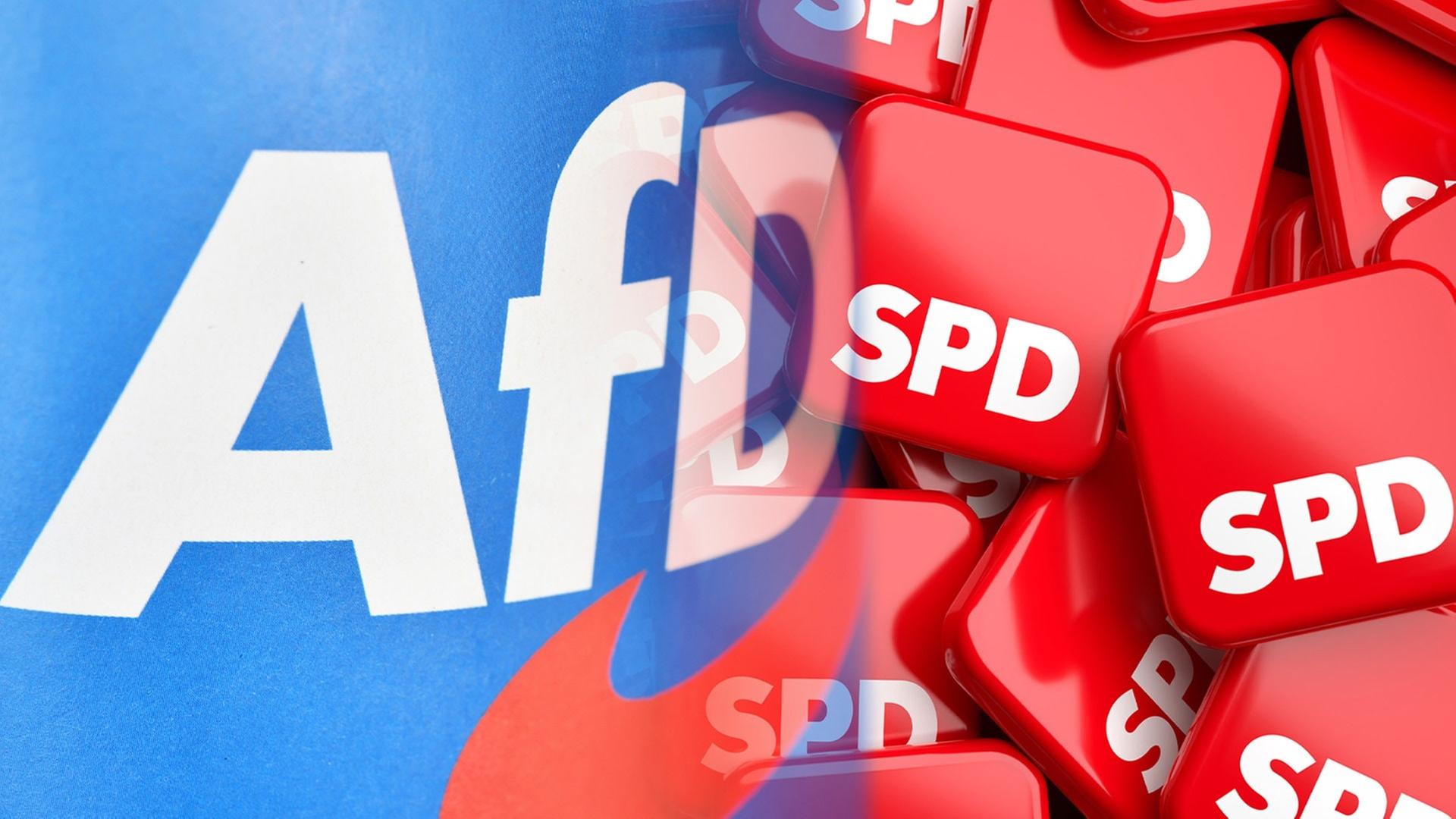 AfD vor der SPD: Was hinter den Verschiebungen steckt