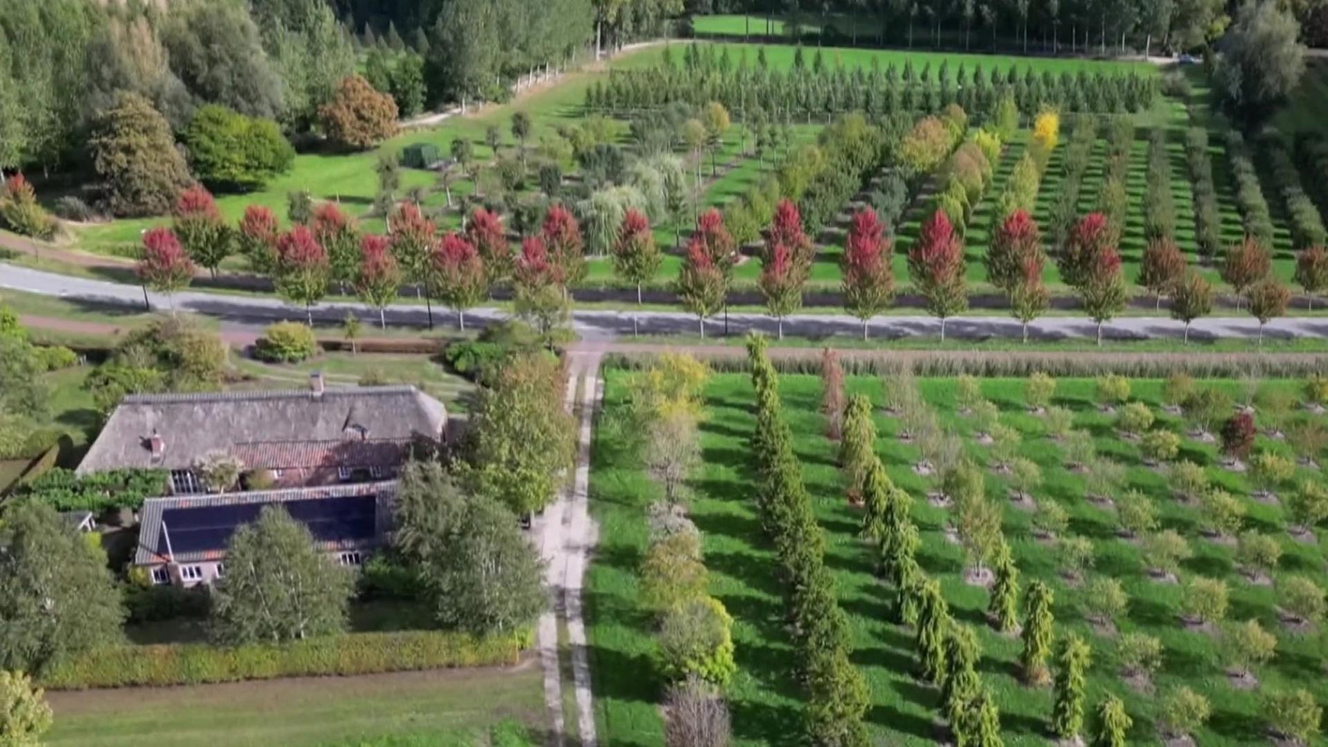 Sendungsbild | ARD-aktuell