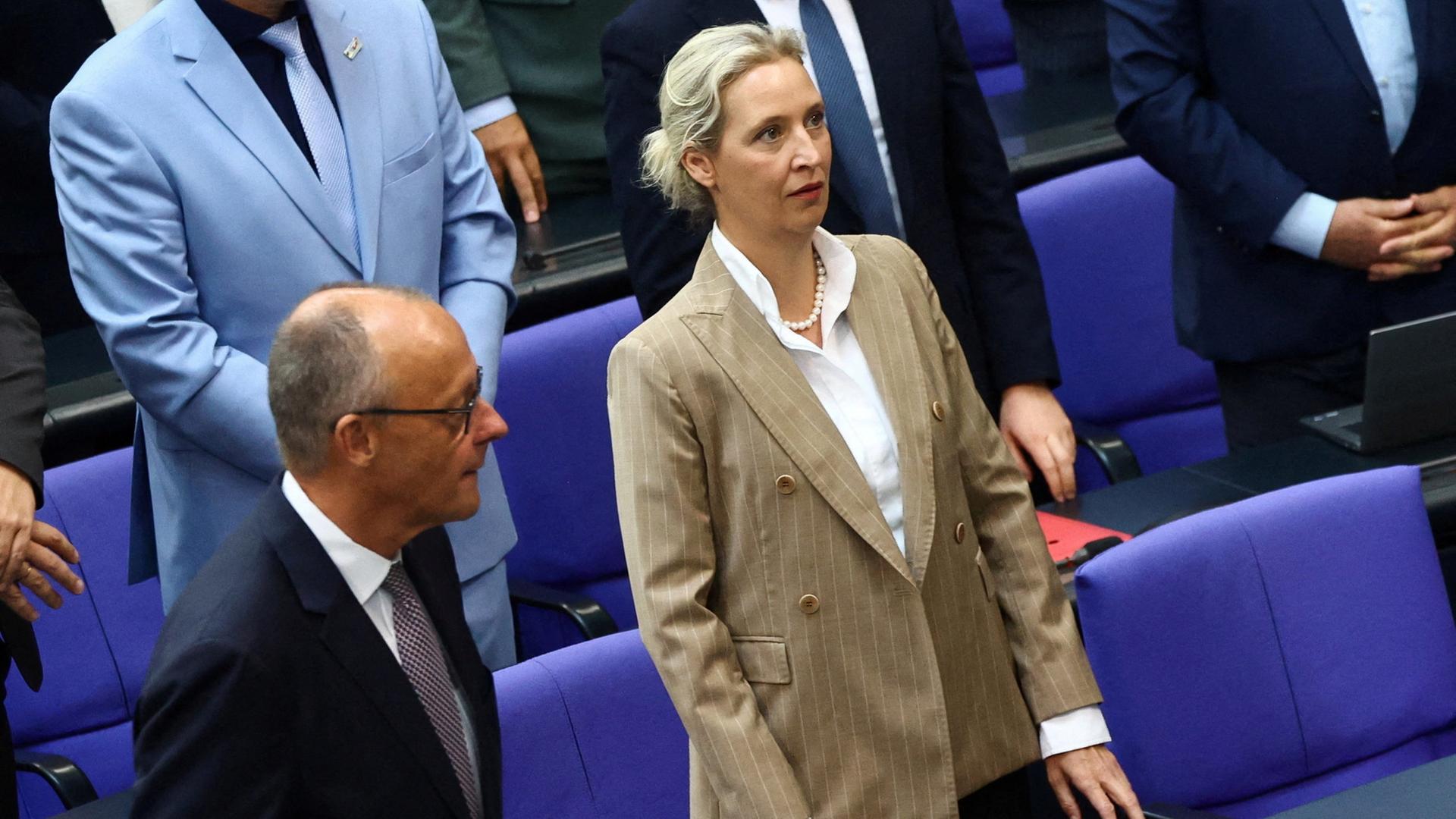 Friedrich Merz und Alice Weidel | REUTERS