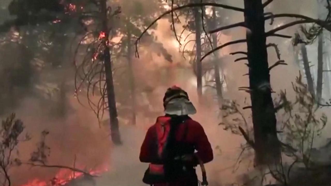 Waldbrände in Spanien nach wochenlanger Hitze und Trockenheit