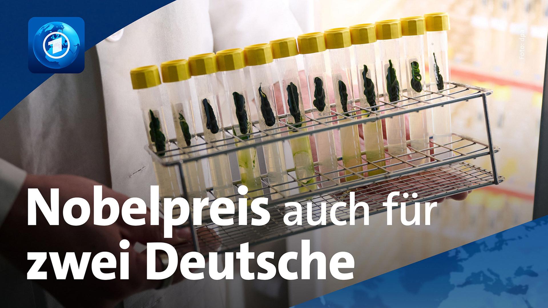 Ein Doktorand hÃ¤lt einen TrÃ¤ger mit RÃ¶hrchen mit der Alge Chlamydomonas reinhardtii in der Hand. | dpa/ARD-aktuell