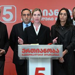 Tina Bokuschawa auf einer Pressekonferenz