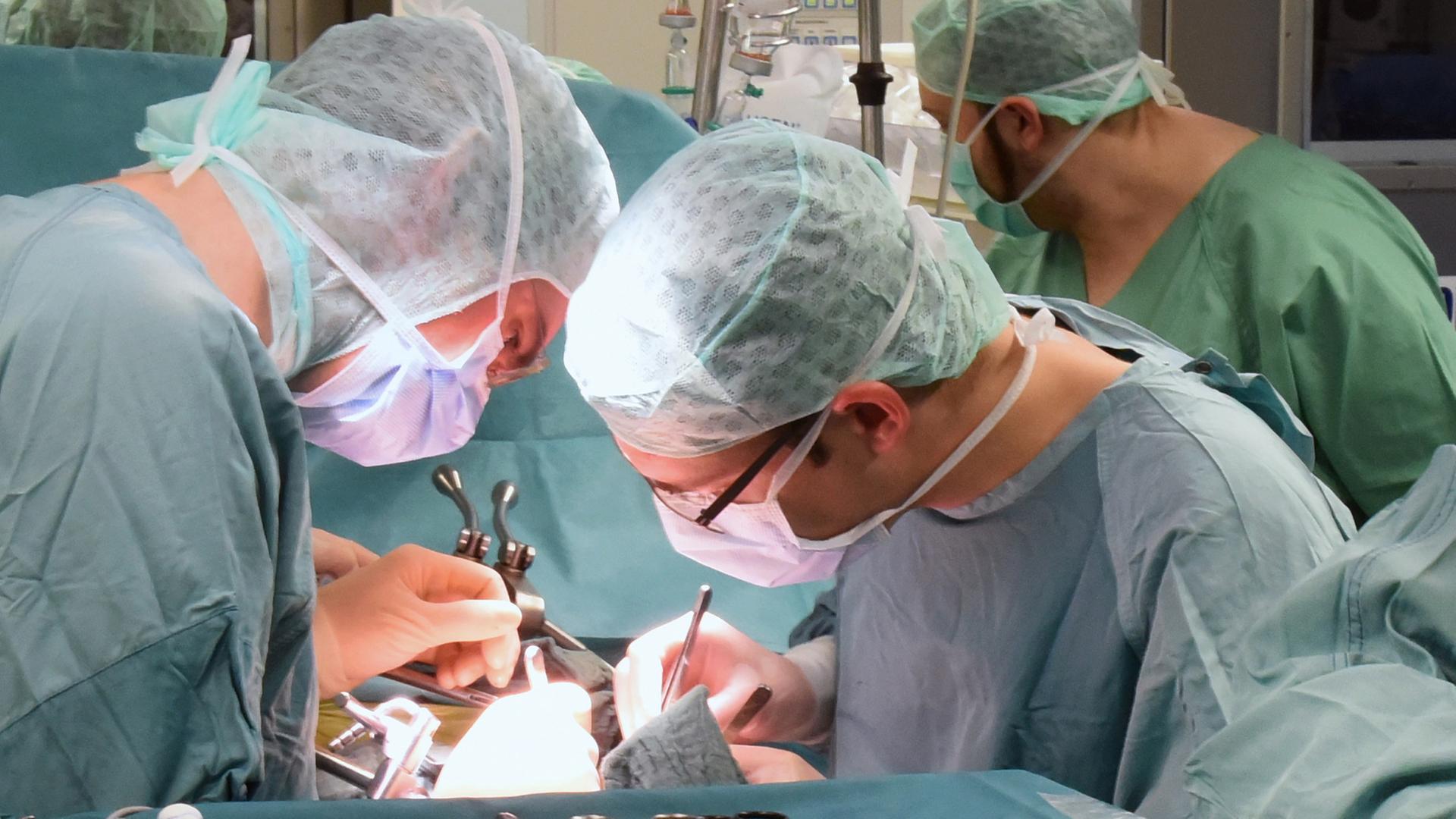 Im Universitätsklinikum Leipzig wird eine Niere transplantiert | dpa