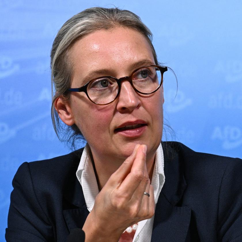 Martin Schmidt, ARD Berlin, zur Kanzlerkandidatur von AfD-Co-Parteichefin  Weidel