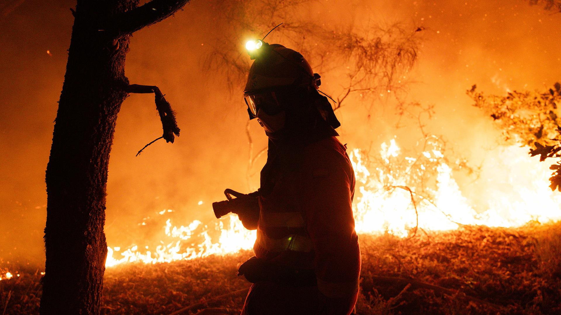 Kampf gegen Waldbrände: Deutsche Feuerwehrleute in Spanien eingetroffen