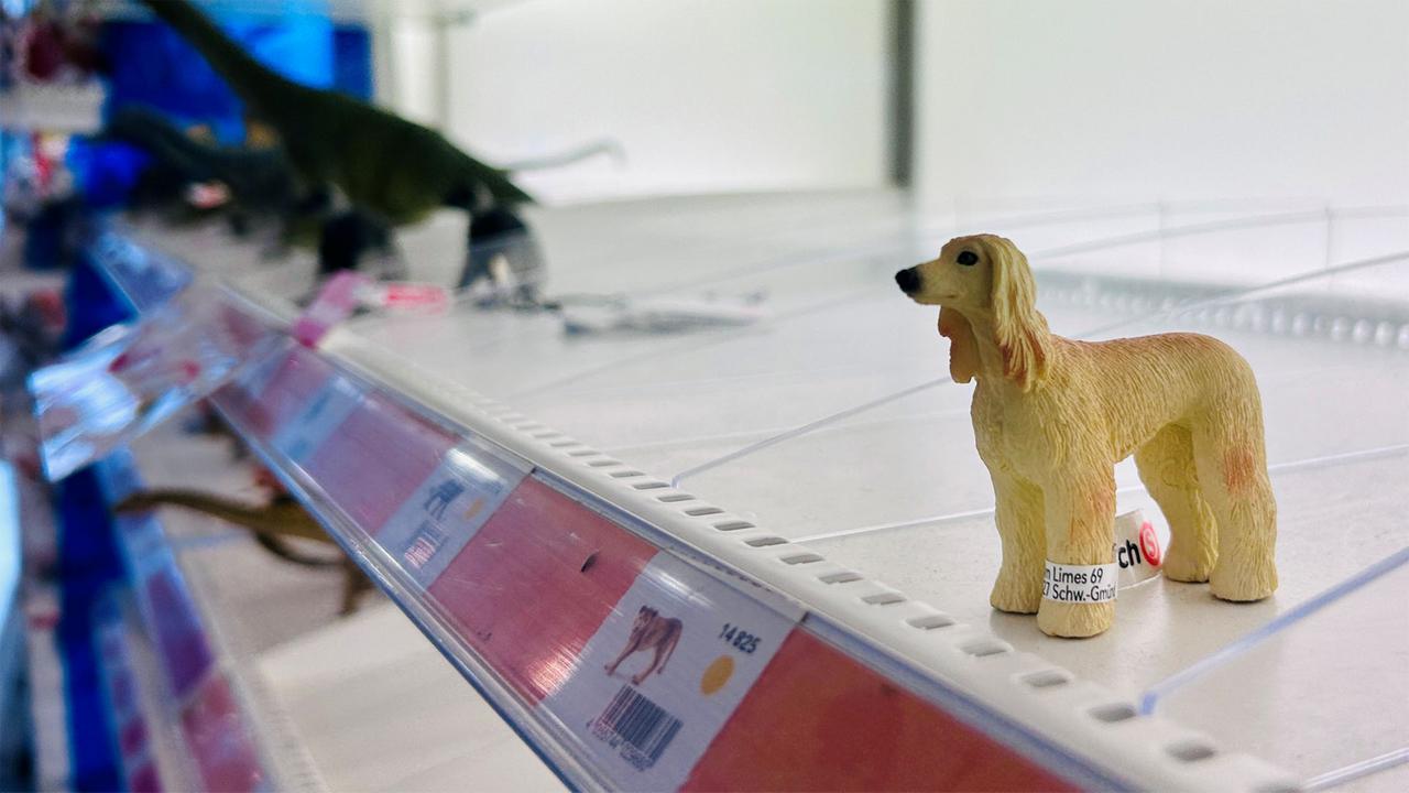 Tausende Läden schließen dieses Jahr – das Beispiel Mainz