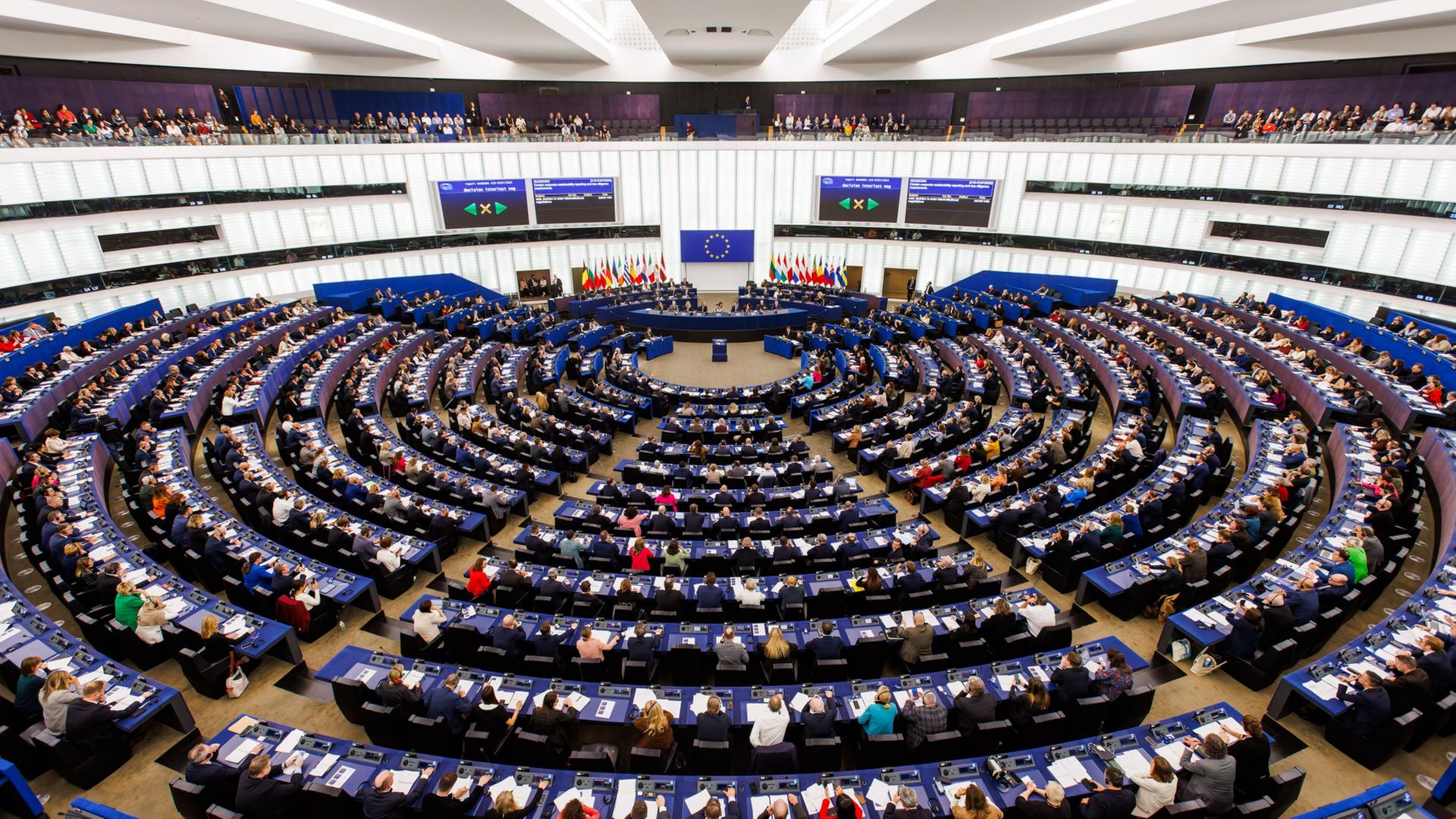 Das EU-Parlament | Philipp von Ditfurth/dpa