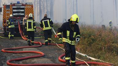 Rettungskräfte der Feuerwehr bekämpfen einen größeren Waldbrand in Schierke.