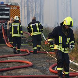 Rettungskräfte der Feuerwehr bekämpfen einen größeren Waldbrand in Schierke.