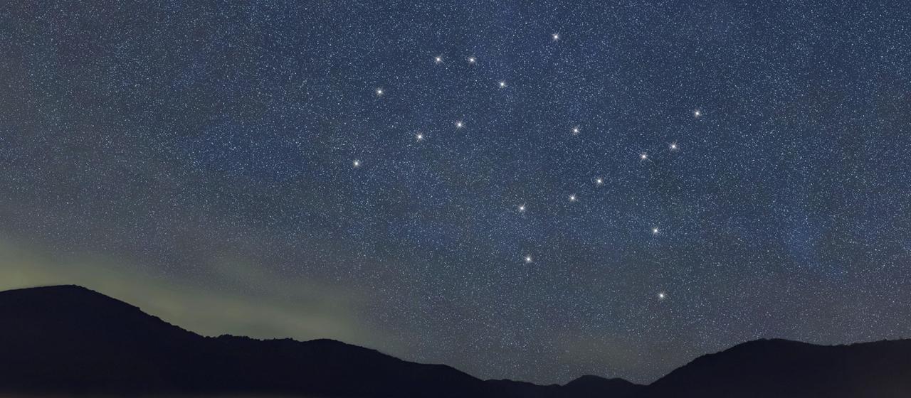 Das Sternenbild der Zwillinge.