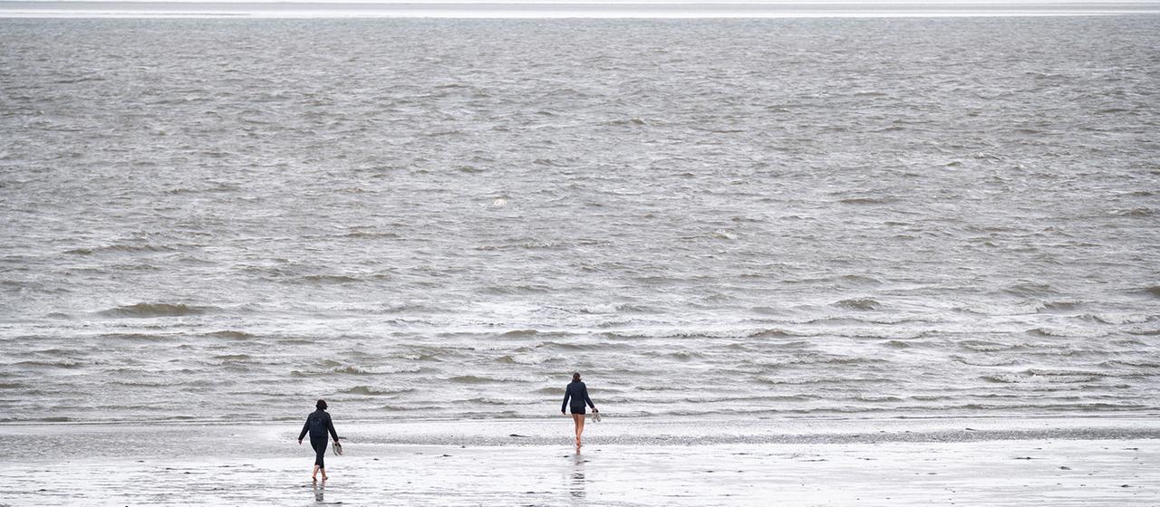 Spaziergänger sind im Watt vor Büsum unterwegs. | dpa Spaziergänger sind im Watt vor Büsum unterwegs.