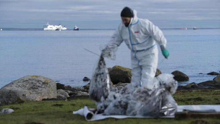 Ein Mann in Schutzkleidung arbeitet am Strand.