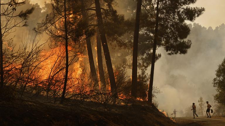 Menschen vor einem brennenden Wald in Spanien.