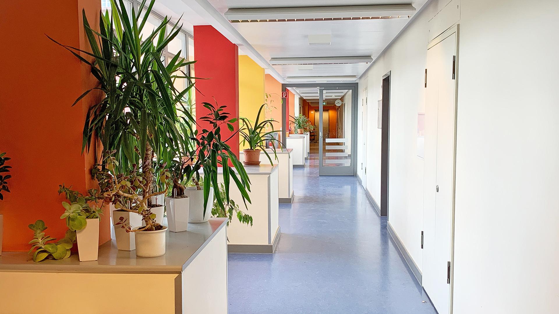 Symbolbild: Vor acht Uhr sind am 22.06.2021 die Gänge in einer Grundschule in Prenzlauer Berg noch leer. (Quelle: Picture Alliance/Annette Riedl) | Picture Alliance/Annette Riedl