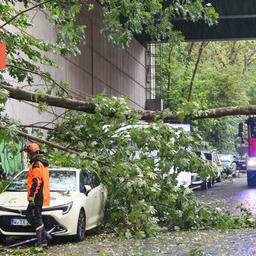 Ein umgestürzter Baum auf einem Taxi in Wuppertal