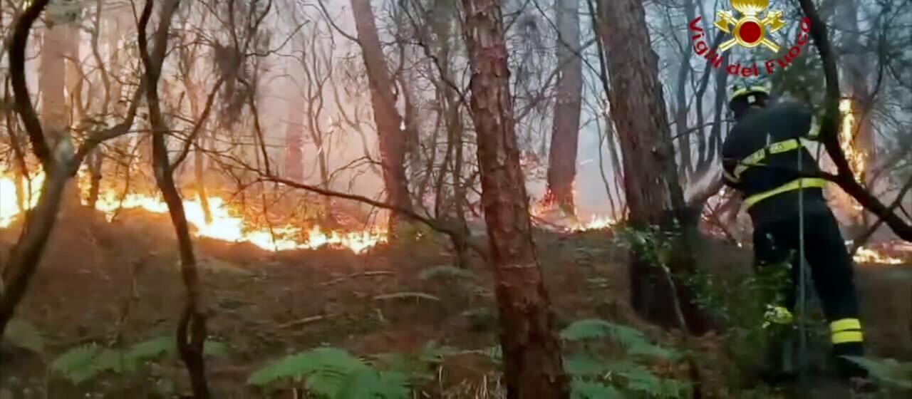 Ein Feuerwehrmann bei einem Waldbrand im Einsatz