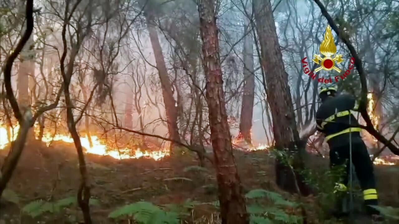 Tausende Menschen evakuiert – Großflächiger Waldbrand in der Toskana