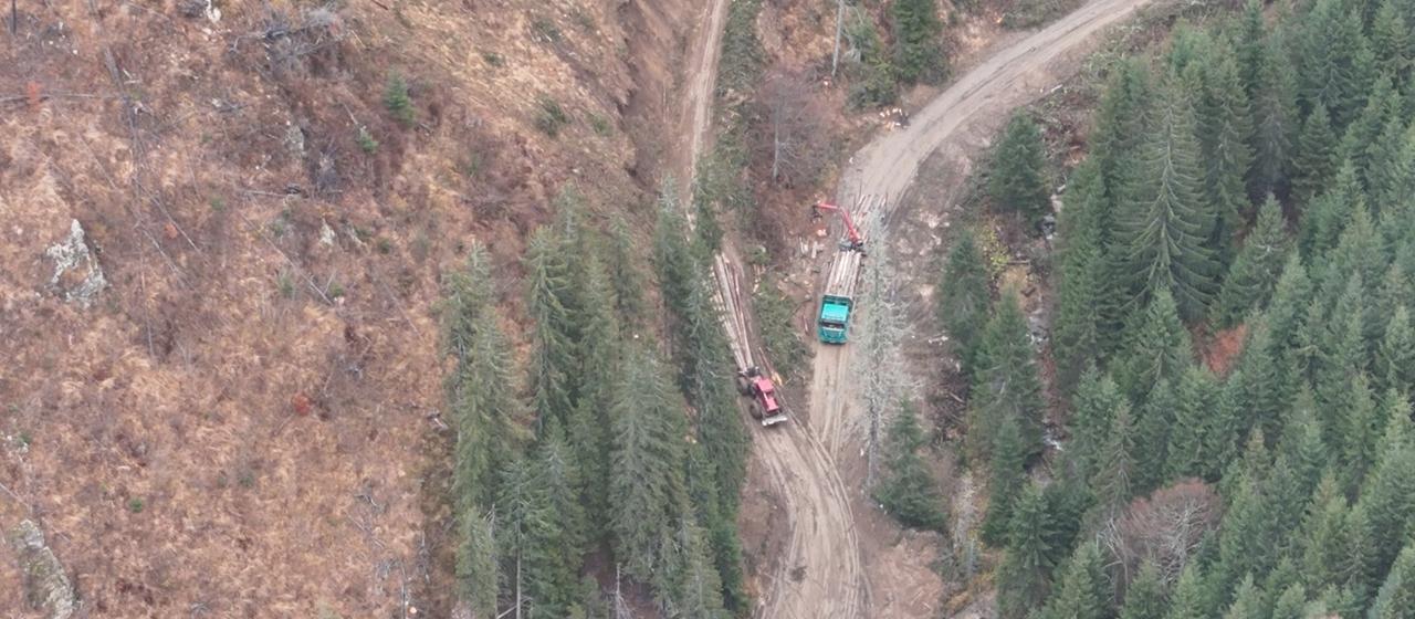 Drohnenaufnahme von LKWs auf einem Waldweg