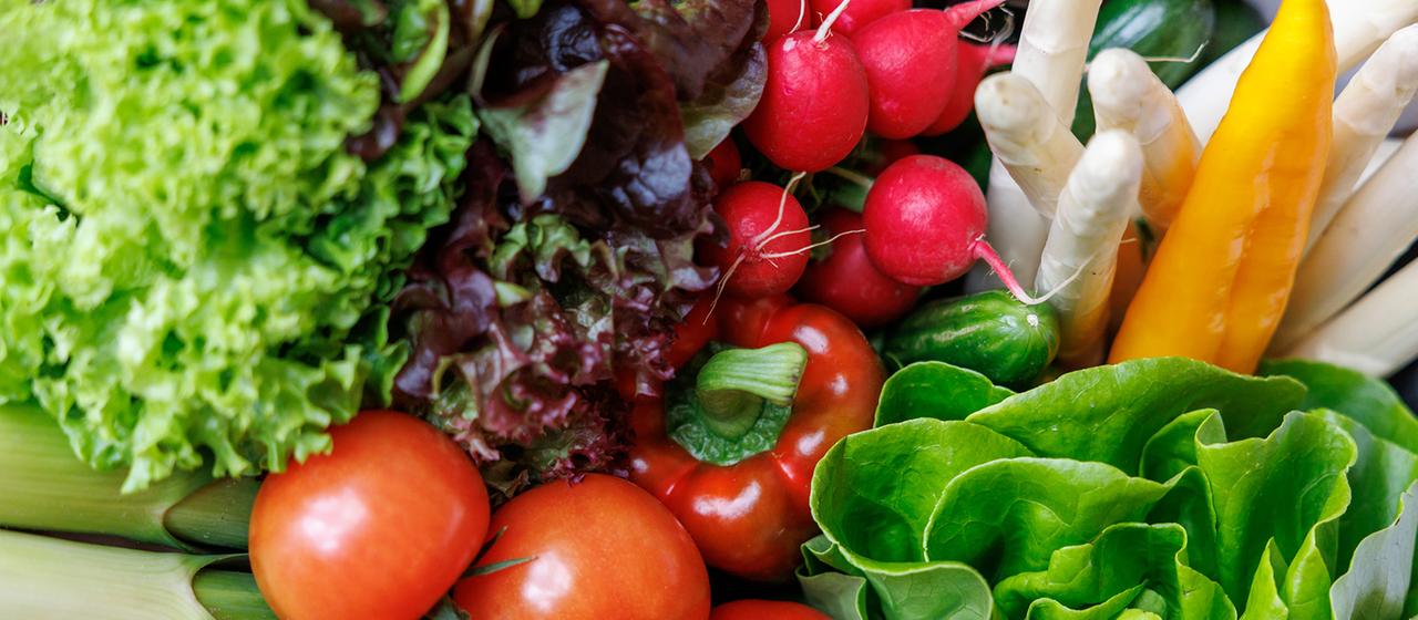 30-Pflanzen-Challenge: Wie Vielfalt unseren Darm stärkt