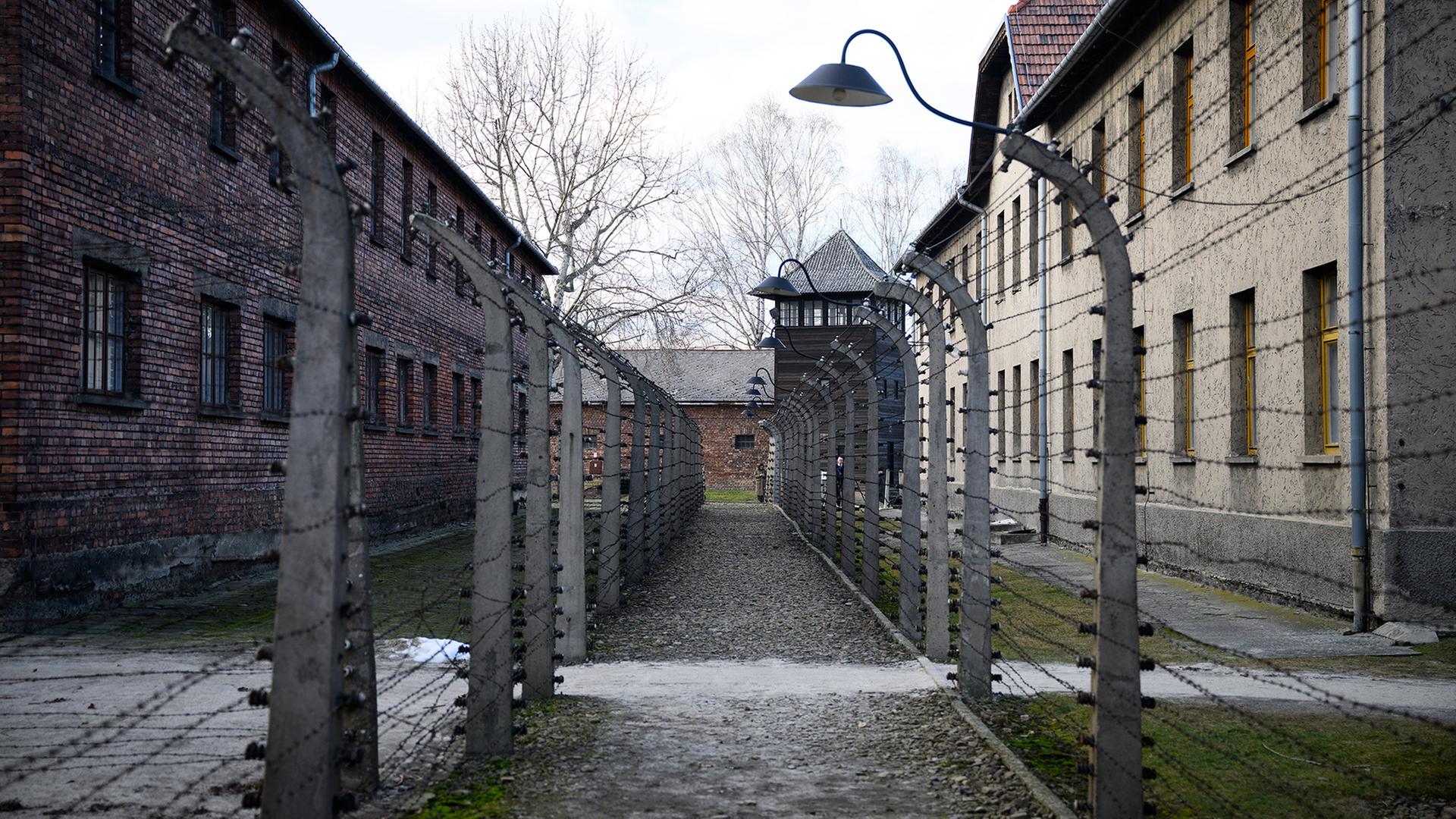 Gebäude und Stacheldrahtbarrieren in der Gedenkstätte Auschwitz. | dpa