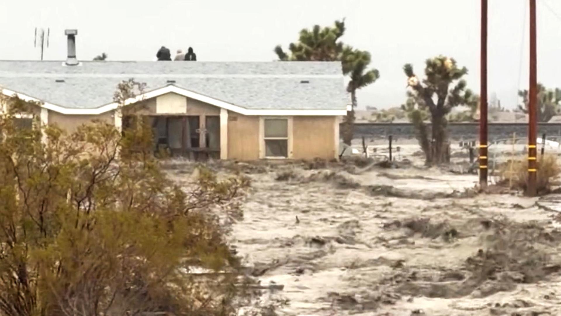 Menschen sitzen bei Hochwasser auf dem Dach eines Hauses. | Timothy and the Machine Music via Facebook/via REUTERS