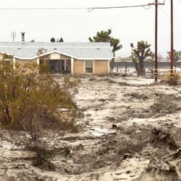 Menschen sitzen bei Hochwasser auf dem Dach eines Hauses.