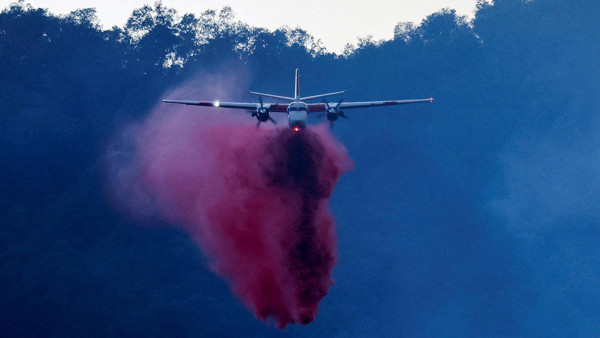 Löschflugzeug in Kalifornien, junge Sumoringer, Störche an der Donau