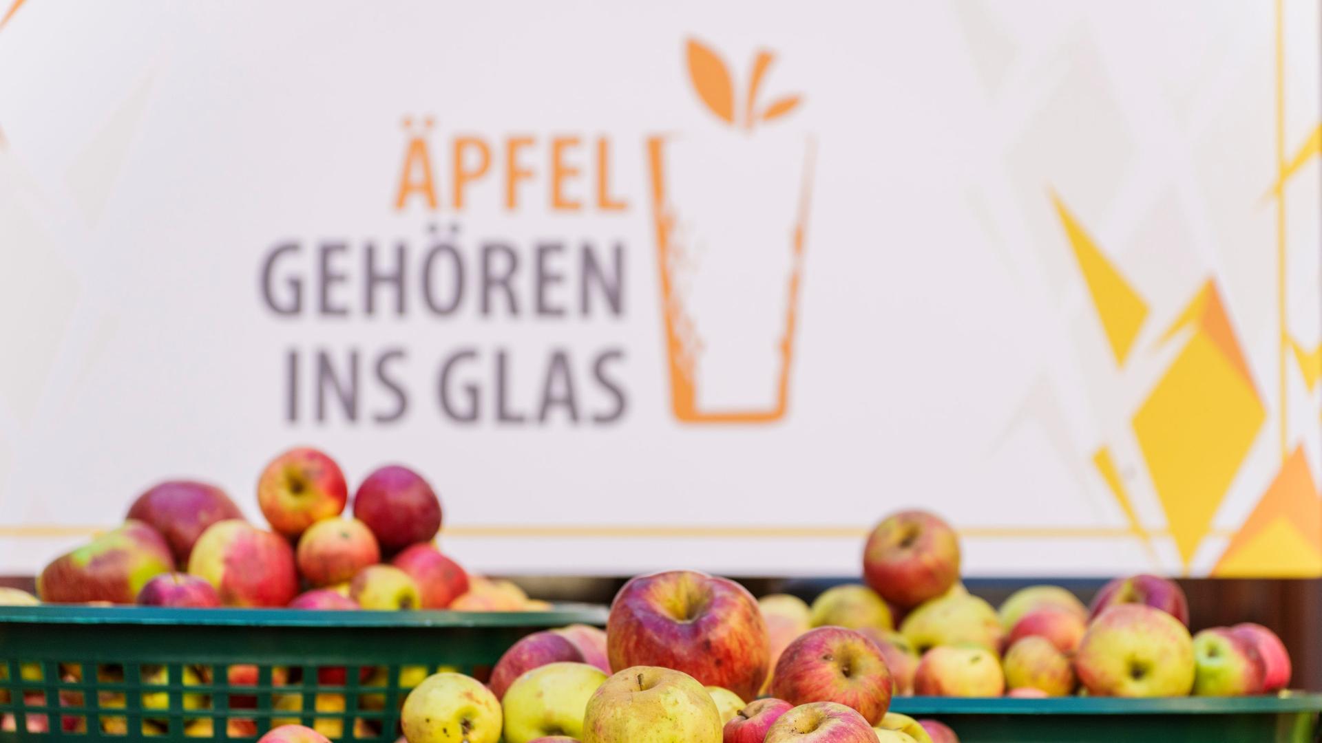 Weniger Äpfel für den Äppler: Hessens Keltereien hoffen auf Fallobst