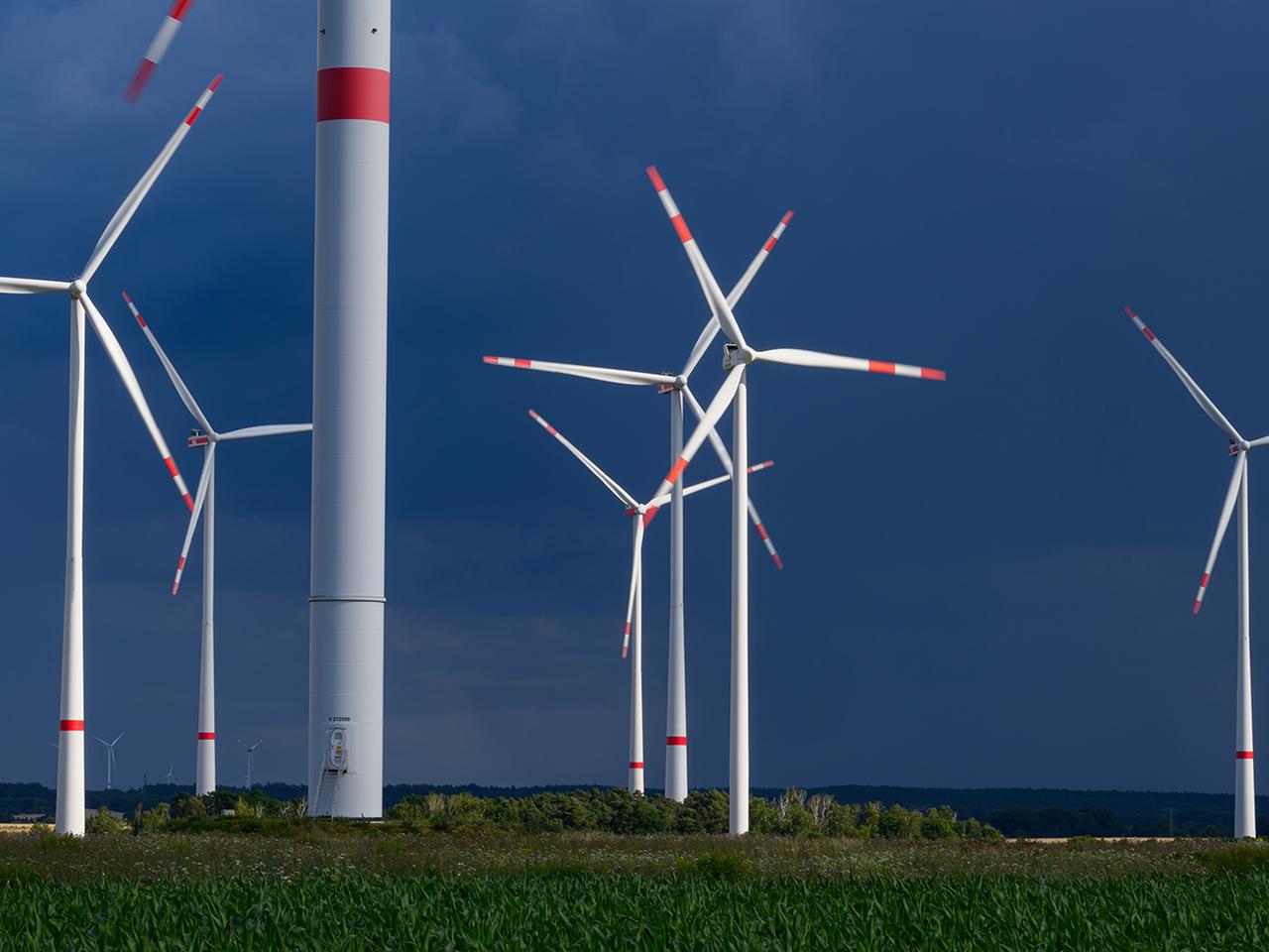 Leahpotak her puts in a solid effort and will take your 