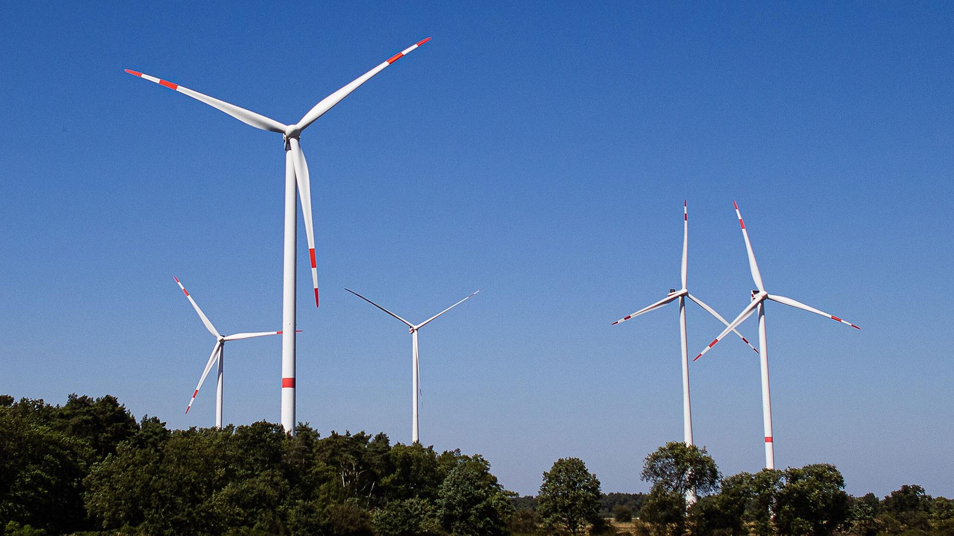 Windpark bei Stahnsdorf (Bild: dpa / Rainer Keuenhof) | dpa / Rainer Keuenhof