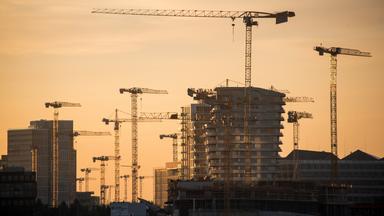 Baukräne in der Hamburger Hafencity.