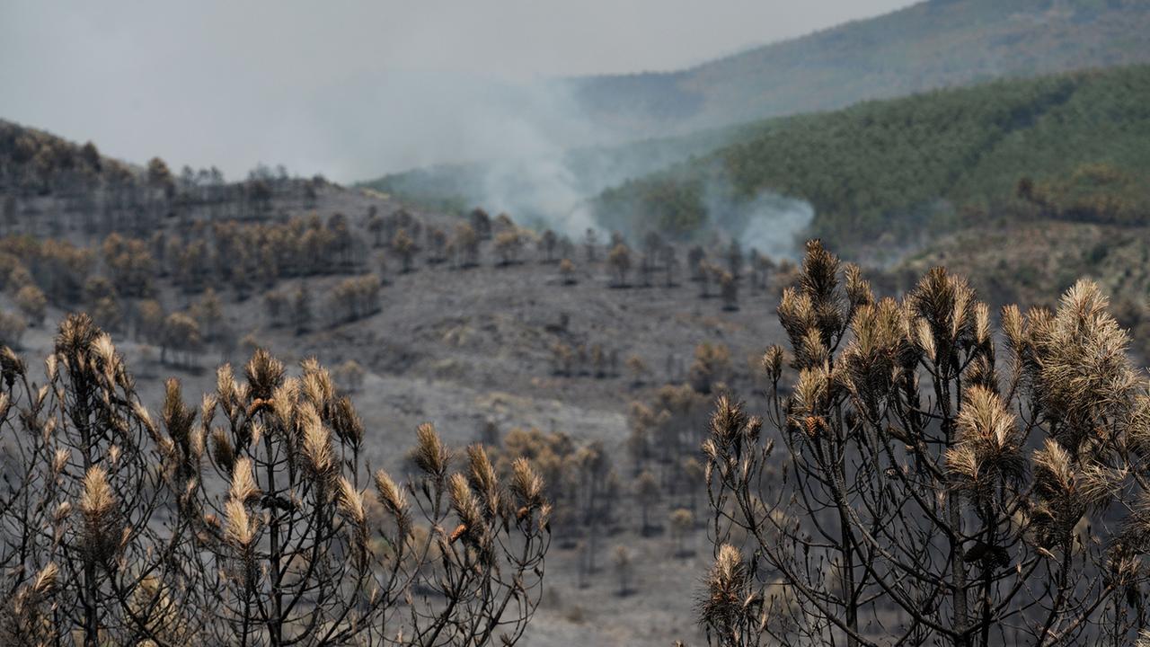 Spanien: Großer Waldbrand bei Madrid außer Kontrolle
