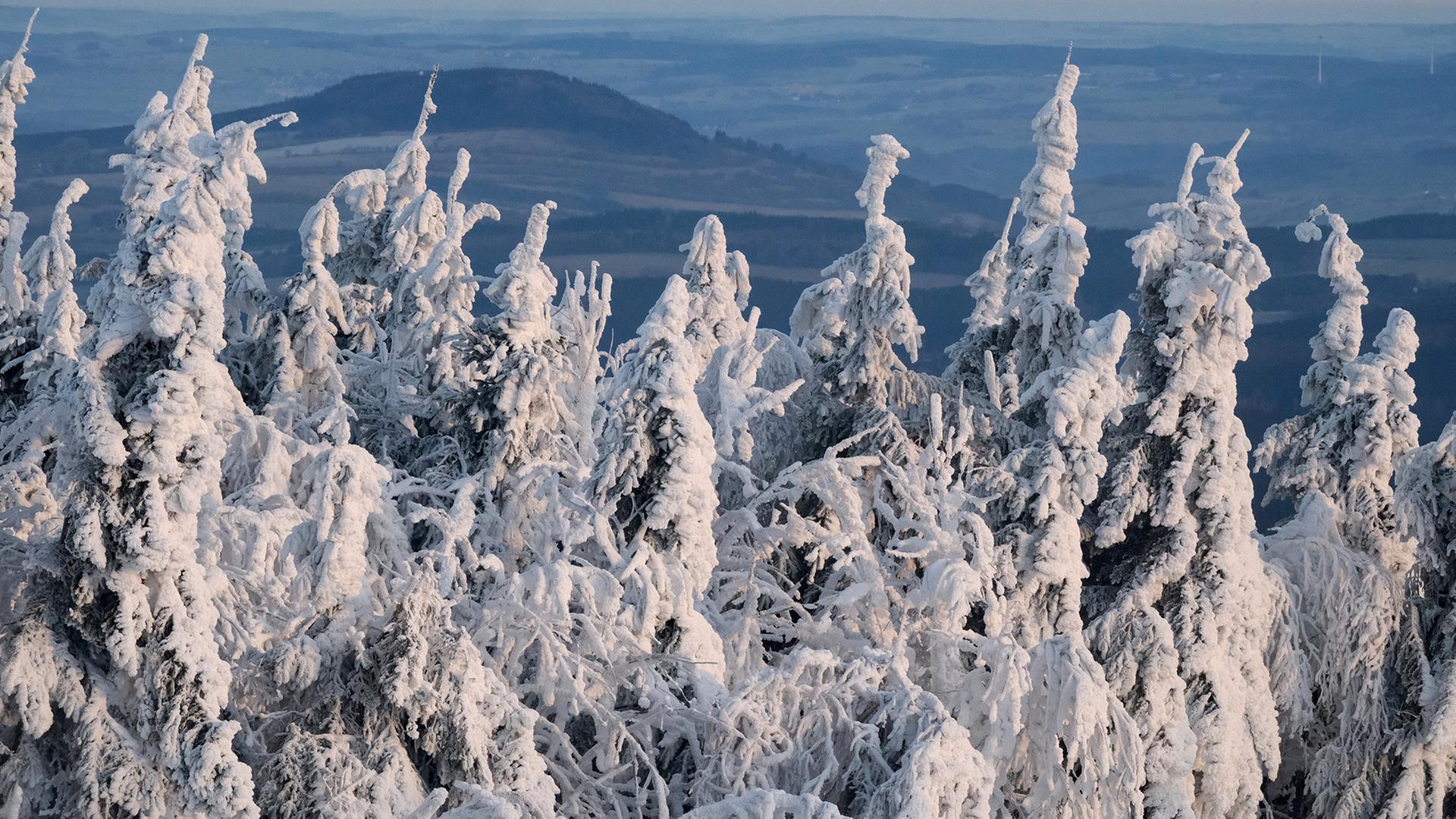 Der vereiste Gipfel des Fichtelbergs in der Morgensonne. | dpa