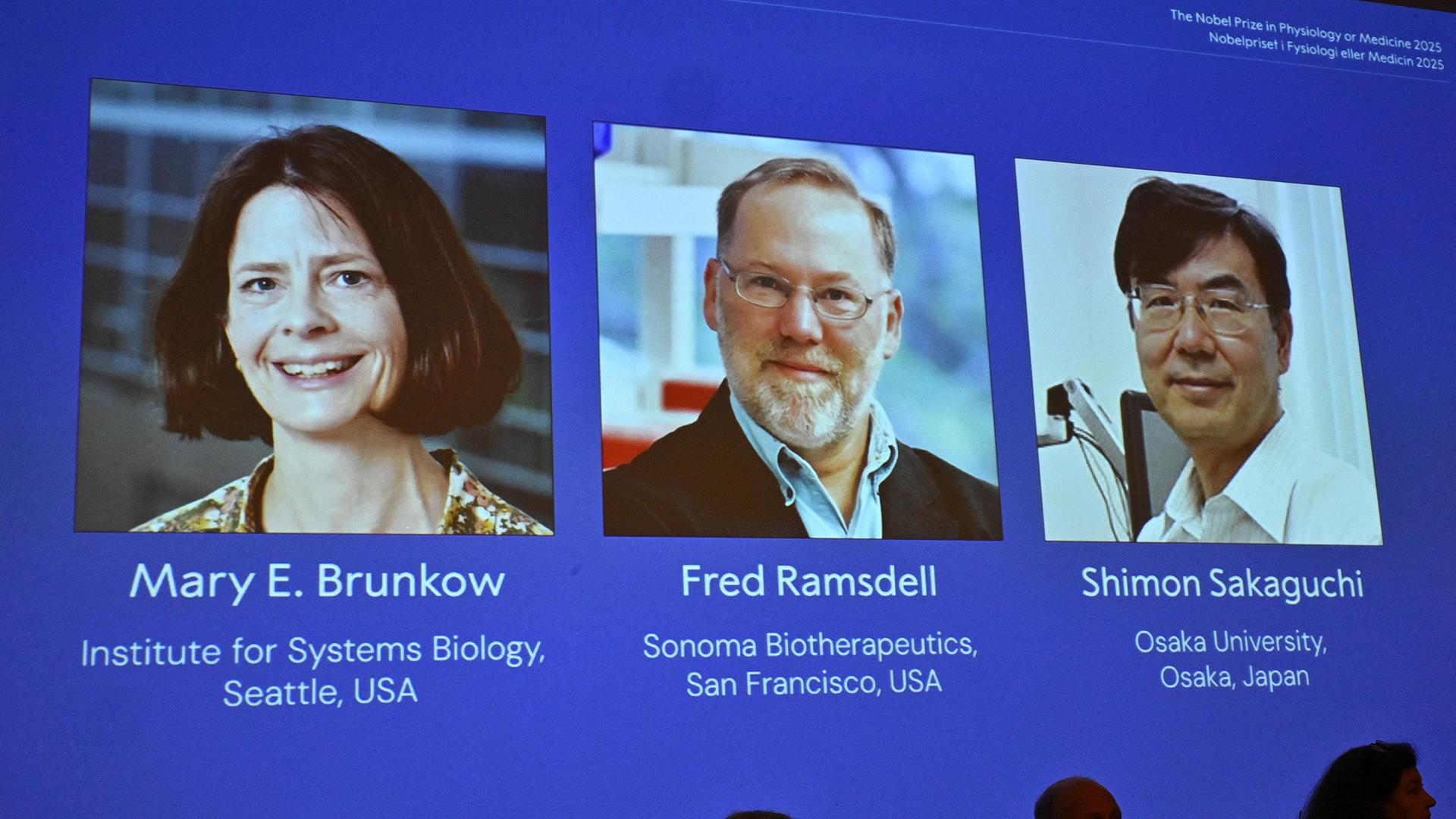 Die Nobelpreisträger für Medizin Mary E. Brunkow, Fred Ramsdell und Shimon Sakaguchi | via REUTERS